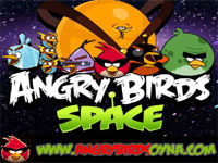 Angry Birds Kara Delik